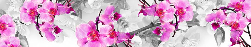 Изображение для стеклянного кухонного фартука, скинали: цветы, орхидеи, fartux1330