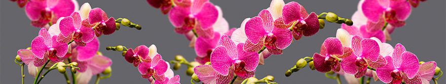 Изображение для стеклянного кухонного фартука, скинали: цветы, орхидеи, fartux1344