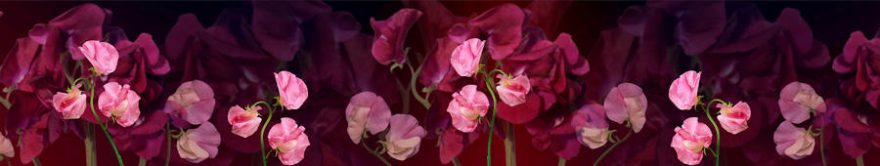 Изображение для стеклянного кухонного фартука, скинали: цветы, орхидеи, fartux1425