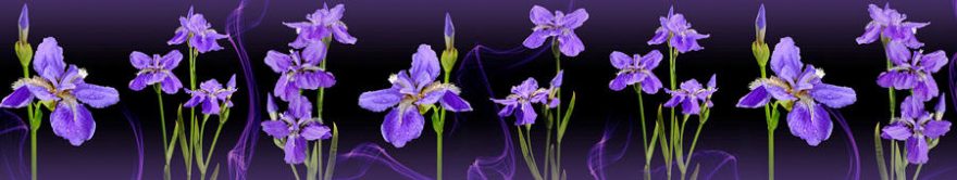 Изображение для стеклянного кухонного фартука, скинали: цветы, орхидеи, fartux1738