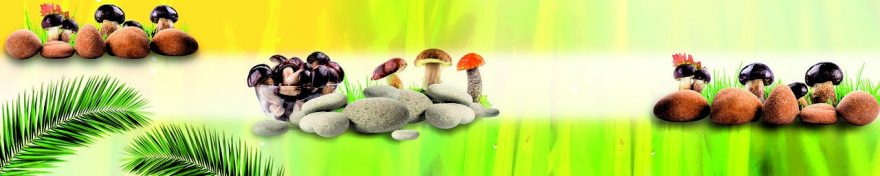 Изображение для стеклянного кухонного фартука, скинали: камни, грибы, fartux585