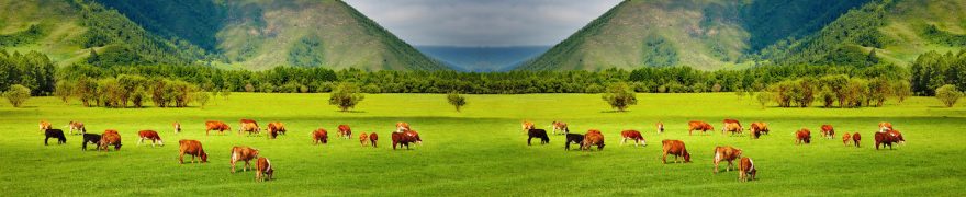 Изображение для стеклянного кухонного фартука, скинали: поле, горы, животные, коровы, jivdoma007
