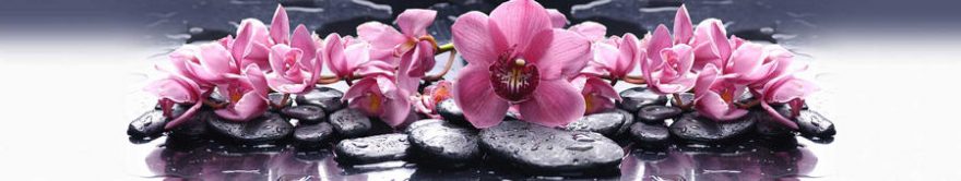 Изображение для стеклянного кухонного фартука, скинали: цветы, орхидеи, камни, спа, fartux1120