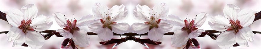 Изображение для стеклянного кухонного фартука, скинали: цветы, сакура, fartux1136