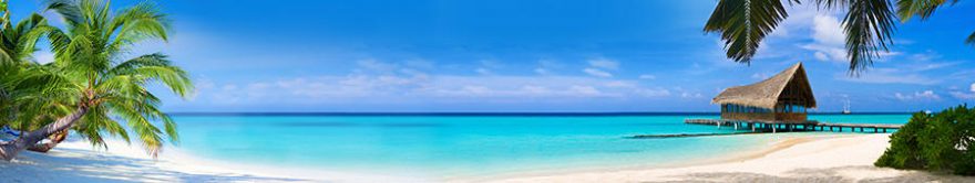 Изображение для стеклянного кухонного фартука, скинали: море, пальмы, пляж, fartux1247