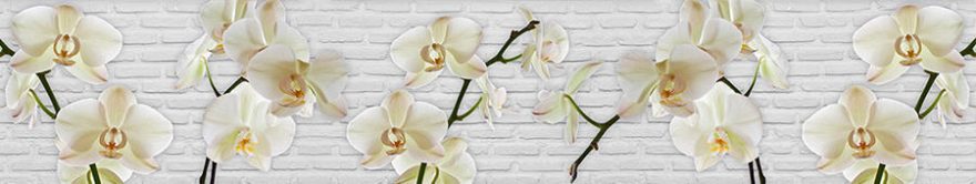 Изображение для стеклянного кухонного фартука, скинали: цветы, орхидеи, fartux1333