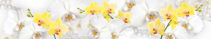 Изображение для стеклянного кухонного фартука, скинали: цветы, орхидеи, жемчуг, fartux1334