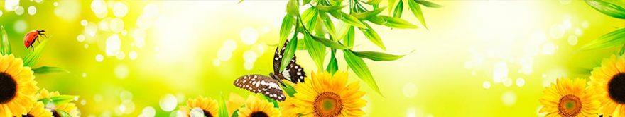 Изображение для стеклянного кухонного фартука, скинали: цветы, подсолнухи, бабочки, fartux1351