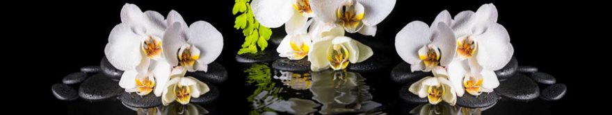 Изображение для стеклянного кухонного фартука, скинали: цветы, орхидеи, fartux1459