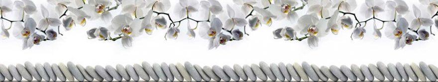 Изображение для стеклянного кухонного фартука, скинали: цветы, орхидеи, камни, fartux1475