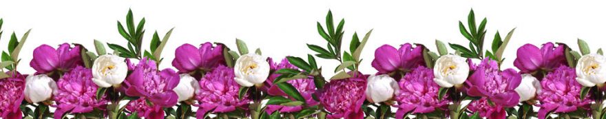 Изображение для стеклянного кухонного фартука, скинали: цветы, пионы, fartux1593
