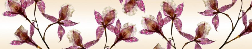 Изображение для стеклянного кухонного фартука, скинали: цветы, fartux1650