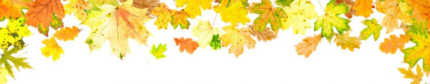 Изображение для стеклянного кухонного фартука, скинали: листья, осень, fartux1680