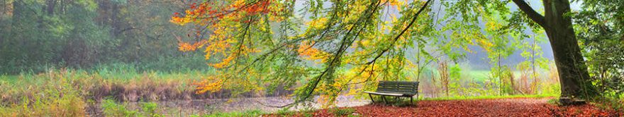 Изображение для стеклянного кухонного фартука, скинали: деревья, осень, парк, fartux1784