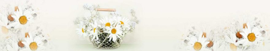 Изображение для стеклянного кухонного фартука, скинали: цветы, ромашки, fartux1792