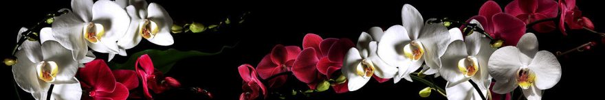Изображение для стеклянного кухонного фартука, скинали: цветы, орхидеи, fartux1816