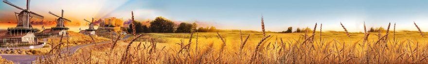 Изображение для стеклянного кухонного фартука, скинали: поле, природа, пшеница, мельница, fartux1851