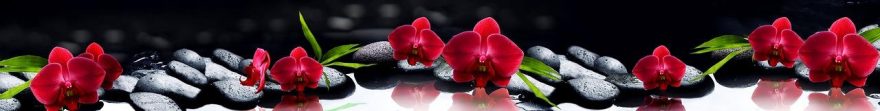 Изображение для стеклянного кухонного фартука, скинали: цветы, орхидеи, камни, fartux574