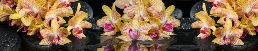 Изображение для стеклянного кухонного фартука, скинали: цветы, орхидеи, fartux696