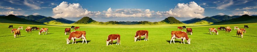 Изображение для стеклянного кухонного фартука, скинали: поле, холм, облака, животные, коровы, jivdoma004
