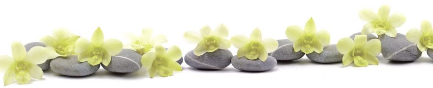 Изображение для стеклянного кухонного фартука, скинали: цветы, орхидеи, камни, rastcve023