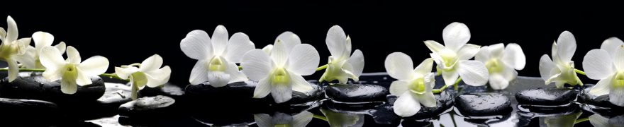 Изображение для стеклянного кухонного фартука, скинали: цветы, орхидеи, камни, rastcve030
