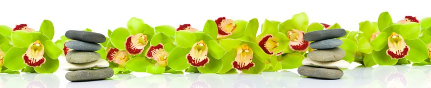 Изображение для стеклянного кухонного фартука, скинали: цветы, орхидеи, камни, rastcve035