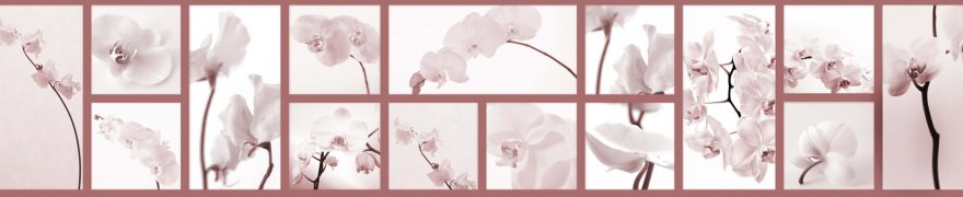 Изображение для стеклянного кухонного фартука, скинали: цветы, орхидеи, коллаж, rastcve065