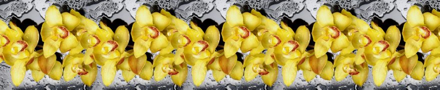 Изображение для стеклянного кухонного фартука, скинали: цветы, орхидеи, rastcve080