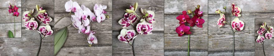 Изображение для стеклянного кухонного фартука, скинали: цветы, орхидеи, коллаж, rastcve086