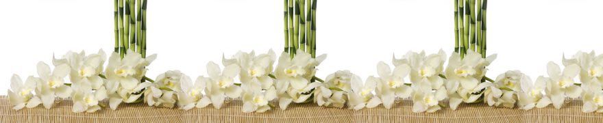 Изображение для стеклянного кухонного фартука, скинали: цветы, бамбук, орхидеи, rastcve090
