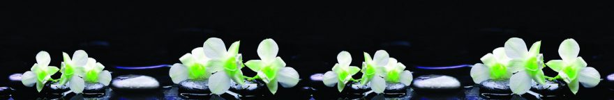 Изображение для стеклянного кухонного фартука, скинали: цветы, орхидеи, камни, skin120