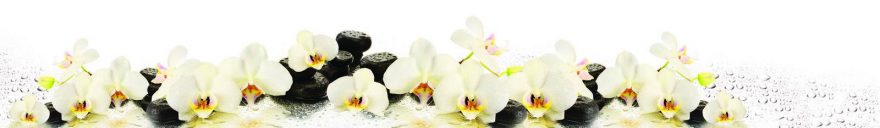 Изображение для стеклянного кухонного фартука, скинали: цветы, орхидеи, камни, skin123