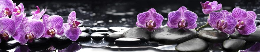Изображение для стеклянного кухонного фартука, скинали: цветы, орхидеи, камни, skin465