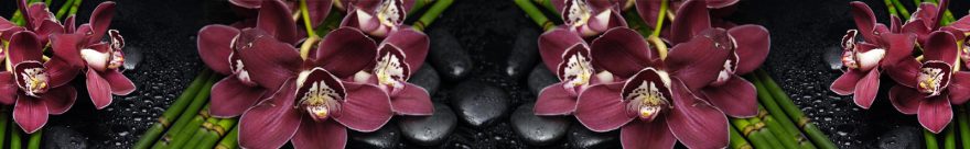 Изображение для стеклянного кухонного фартука, скинали: цветы, бамбук, орхидеи, камни, skin480