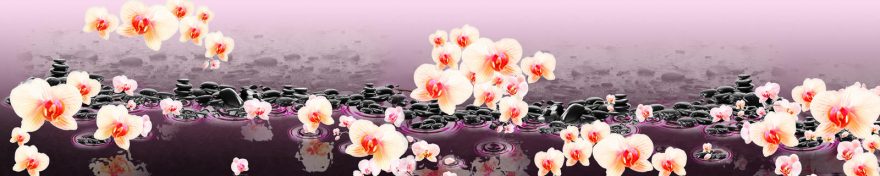 Изображение для стеклянного кухонного фартука, скинали: цветы, орхидеи, камни, skin502