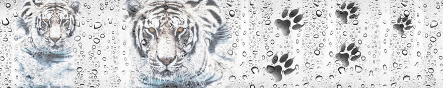 Изображение для стеклянного кухонного фартука, скинали: вода, животные, тигры, капли, skin82