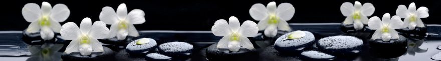 Изображение для стеклянного кухонного фартука, скинали: цветы, орхидеи, камни, skinap136