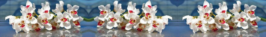 Изображение для стеклянного кухонного фартука, скинали: цветы, орхидеи, skinap72