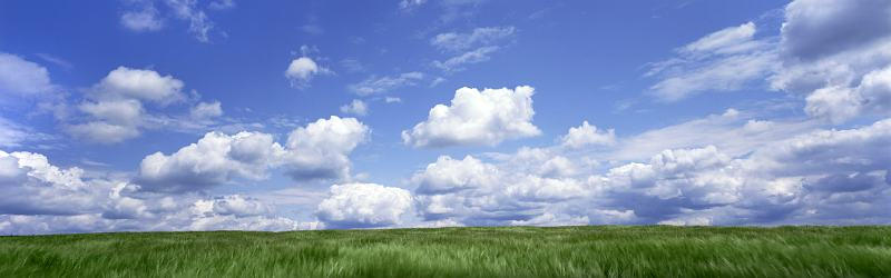 Изображение для стеклянного кухонного фартука, скинали: поле, природа, трава, небо, облака, skinfil11